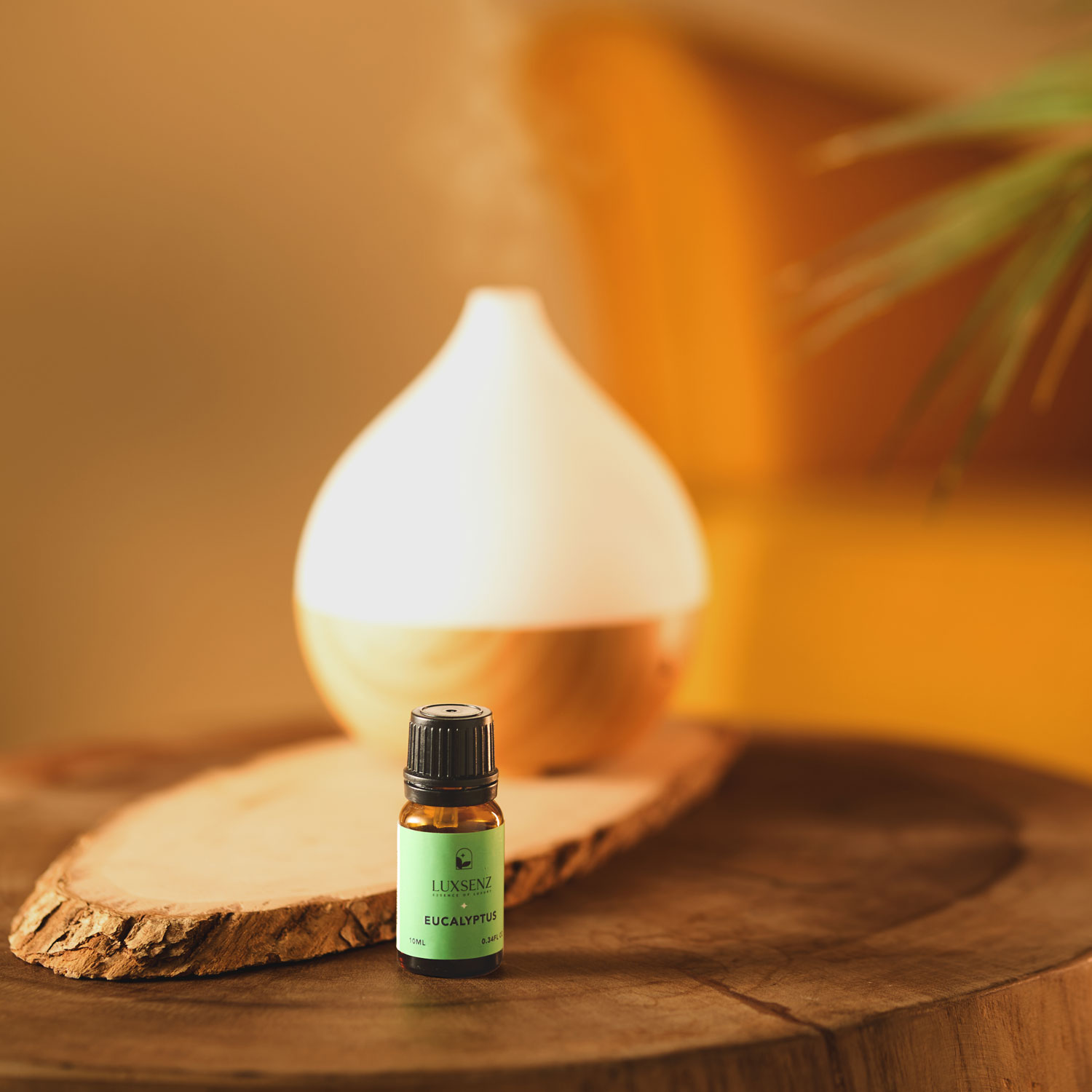 luxsenz-essential-oil-eucalyptus-02